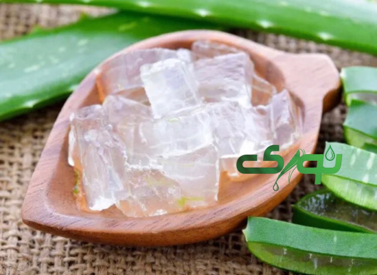 قیمت عمده ژل آلوئه‌ ورا طبیعی و آشنایی با شرایط خرید